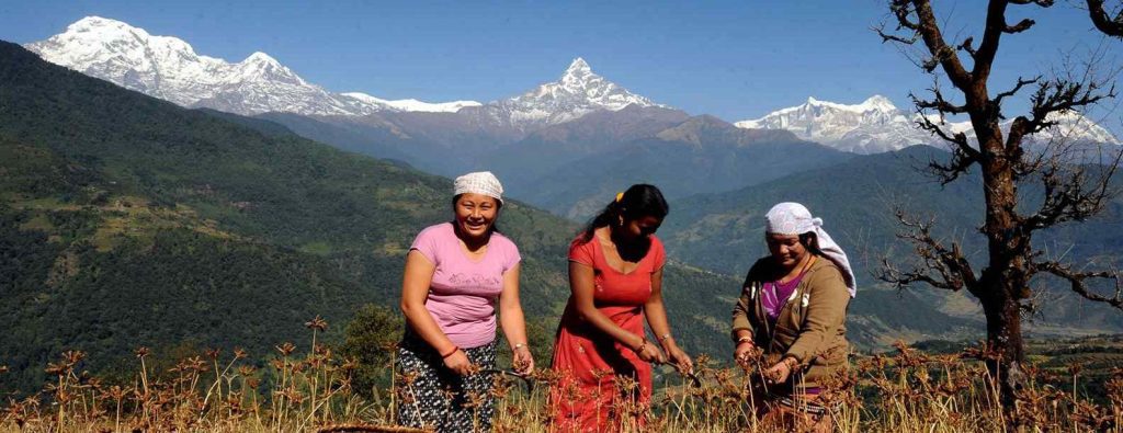 Annapurna Ridge Trails