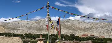 Mustang Trek Guide