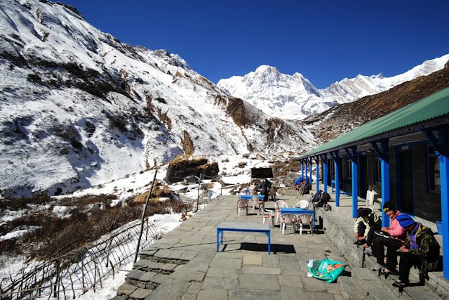 Stratégies de Gestion du Froid