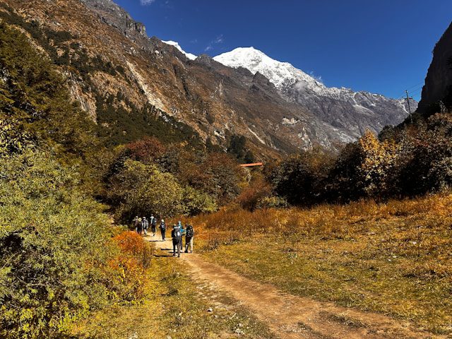 Conditions des Sentiers et Accessibilité