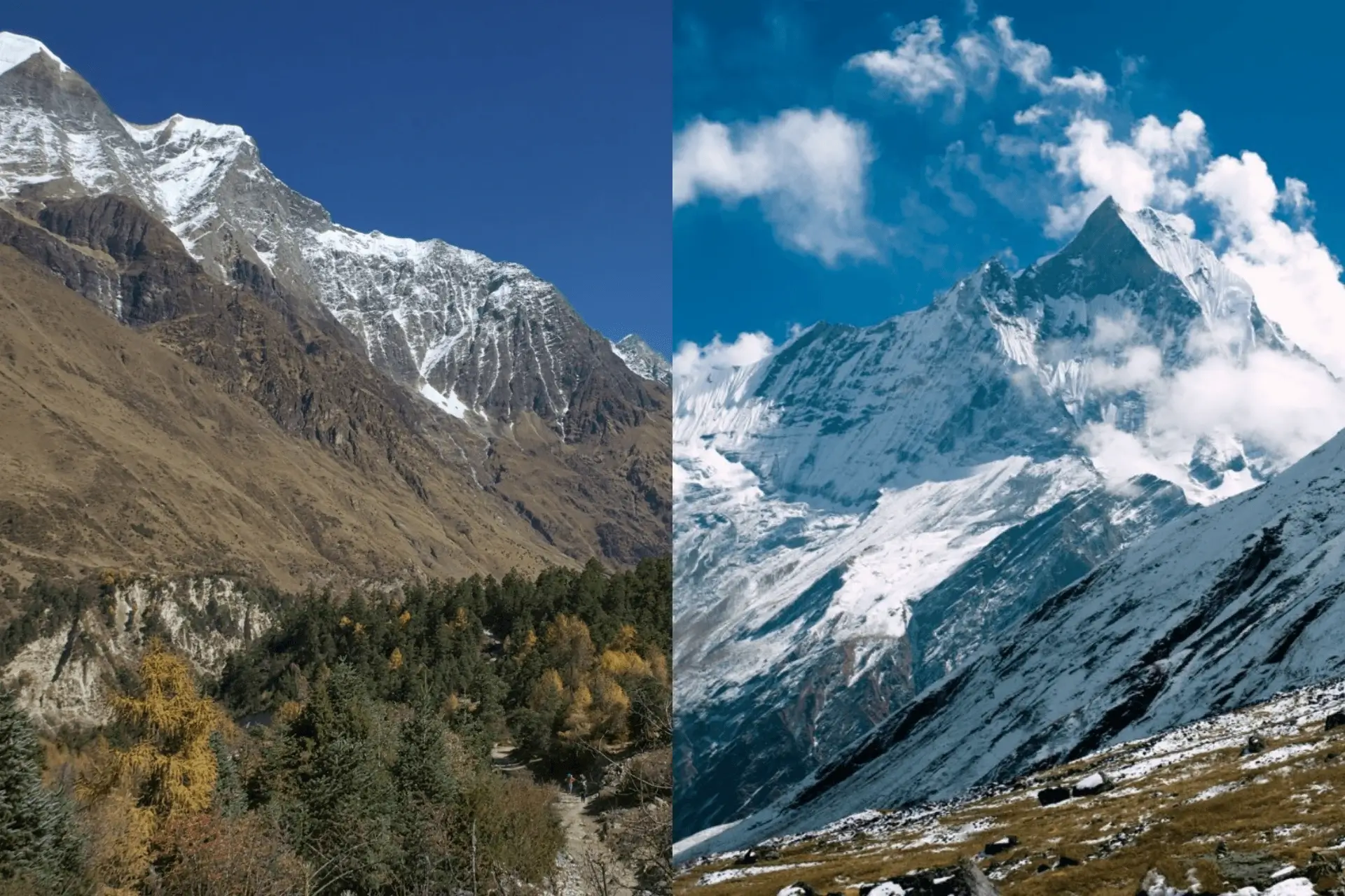 Manaslu Circuit vs Annapurna Circuit Trek in Nepal comparision for best of both destination
