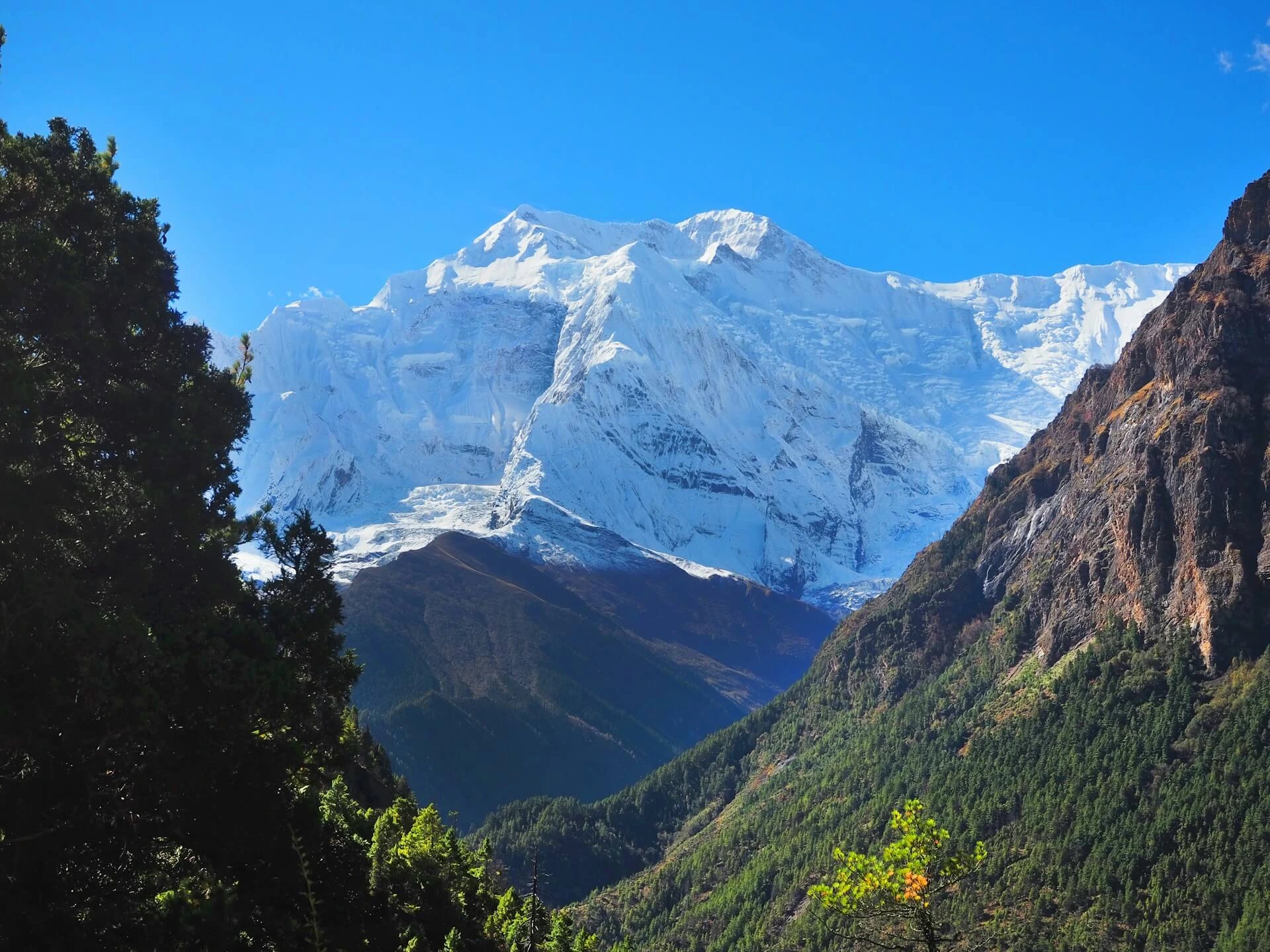 A Guide for travelers: Can a Beginner Do Annapurna Circuit