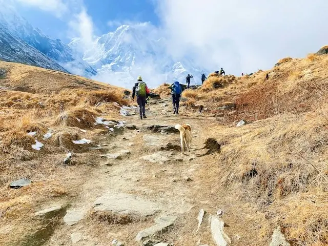 Guide to hardest trek in Nepal with a list of 10 toughest treks in Nepal